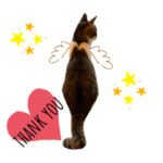 ふくにゃんこスタンプ