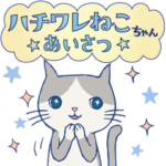 ＊ハチワレねこちゃんの日常とあいさつ＊