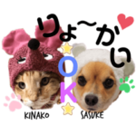 きなちゃんふくちゃんと、サスまつれもん