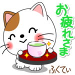 ふくてぃ専用 Missにゃんこ 