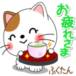 ふくたん専用 Missにゃんこ 