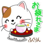 ふくりん専用 Missにゃんこ 