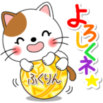 ふくりん専用 Missにゃんこ 