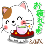 ふくぽん専用 Missにゃんこ 