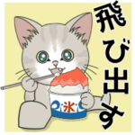 仔猫のぽんにゃん飛び出す