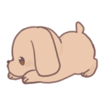 かわいいダックスフンドえびのすけ