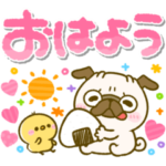 大人可愛い♡見やすいデカ文字♡パグちゃん