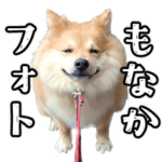 もなかフォトスタンプ