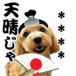 犬のマルちゃん写真だよ。カスタムだよ。02