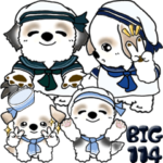 シーズー犬 114『Marin』