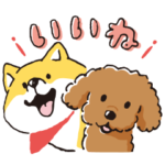 しばんばん コラボ 5