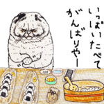 世にも不思議な猫世界