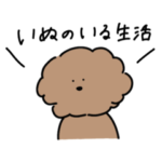 いぬのいる生活（トイプードル）