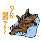 コンアニマルファミリー