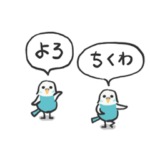 動くセキセイインコ オパーリン 青 白 02