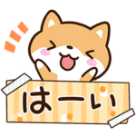 可愛い☆まめシバ