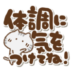 アメショるぅさんのでか文字気遣い