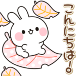 リアクション色々♪うさぎさん