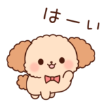 トイプーのフランクなお返事＆リアクション