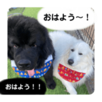 ︎✿はなまるスタンプ○