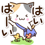 お茶目な三毛猫