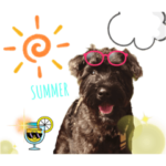 #黒シュナ#季節#イベント