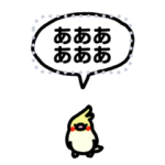 小さいオカメインコ