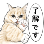 挨拶編 猫にまみれたがりのスタンプ