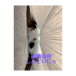 まるゴールデンウィークのスタンプ！