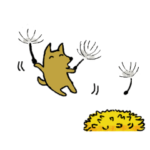 犬のメロン君の日常４（春）