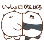 デブくま（応援）