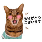 敬語ケンジくん