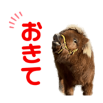 つみきの大冒険TV#1