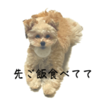 ちいの日常だよ