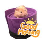 人生限界おばさんのスタンプ②