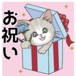 お祝い&誕生日•ずっと使える