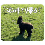 コペちゃんスタンプ2