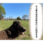 コペちゃんスタンプ3