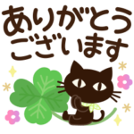 さわやか敬語♡大人の黒ねこ