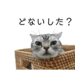 大阪弁のぱずたんぷ 2