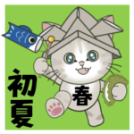 仔猫のぽんにゃん飛び出す