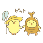 ぴよこ豆 4（夏）