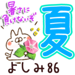 専用86<夏＆天気>