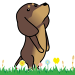 激しく尻尾をふるイヌ