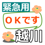 取急ぎ返信用専用