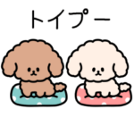 トイプーしか勝たん（トイプードル）