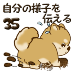 柴犬 ちゃちゃ丸 35『自分の様子を伝える』