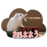 もちまるの暮らし〜日常に使えるスタンプ〜