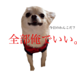 九ちゃんの万能スタンプ