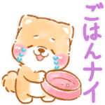 家族で使う❤️いやしばいぬ❤️母の日用あり